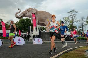 BIB: 
                            <button type="button" onclick="openModal(26528522)" class="btn btn-primary btn-sm float-right btn-popup" data-toggle="modal" data-target=".modal-high-quality">
                        <i class="fas fa-shopping-cart"></i> Add to Cart
                    </button>
                                            <button type="button" onclick="isThisMe(26528522, true)" class="btn btn-success btn-sm float-right btn-popup btn-isme hidden" data-toggle="tooltip" data-placement="bottom" title="นี่คือรูปของคุณใช่ไหม คลิกที่นี่เพื่อเอาเข้าอัลบั้ม">
                        <i class="fas fa-plus"></i> Add to album
                    </button>
                    <button type="button" onclick="isThisMe(26528522, false)" class="btn btn-warning btn-sm float-right btn-popup btn-isnotme hidden">
                        <i class="fas fa-ban"></i> Remove from album
                    </button>